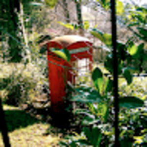 Meet your Posher, Timothy